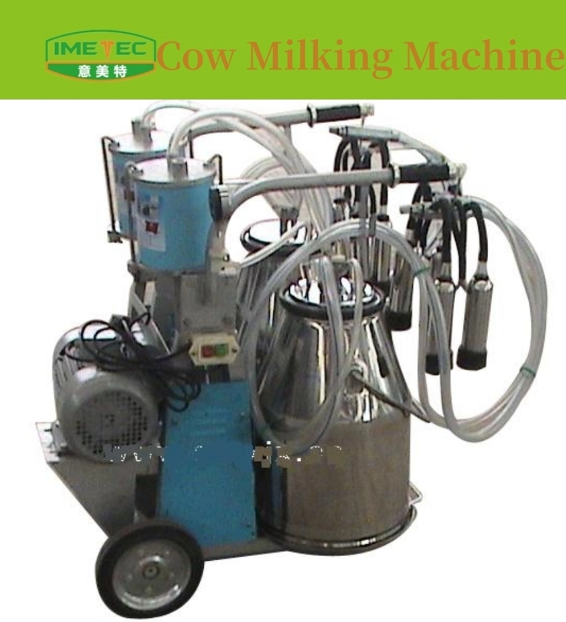 Double-bucket milking machine for cows