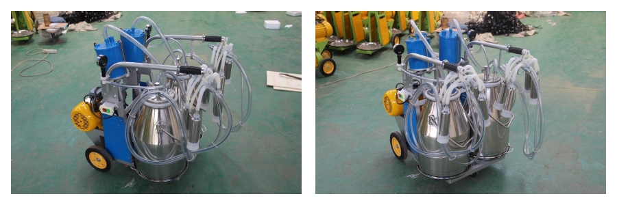 Double-bucket milking machine for cows Double-bucket milking machine for cows