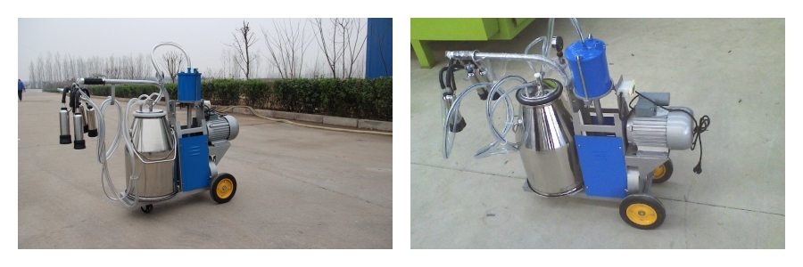 Одноковшовый доильный аппарат