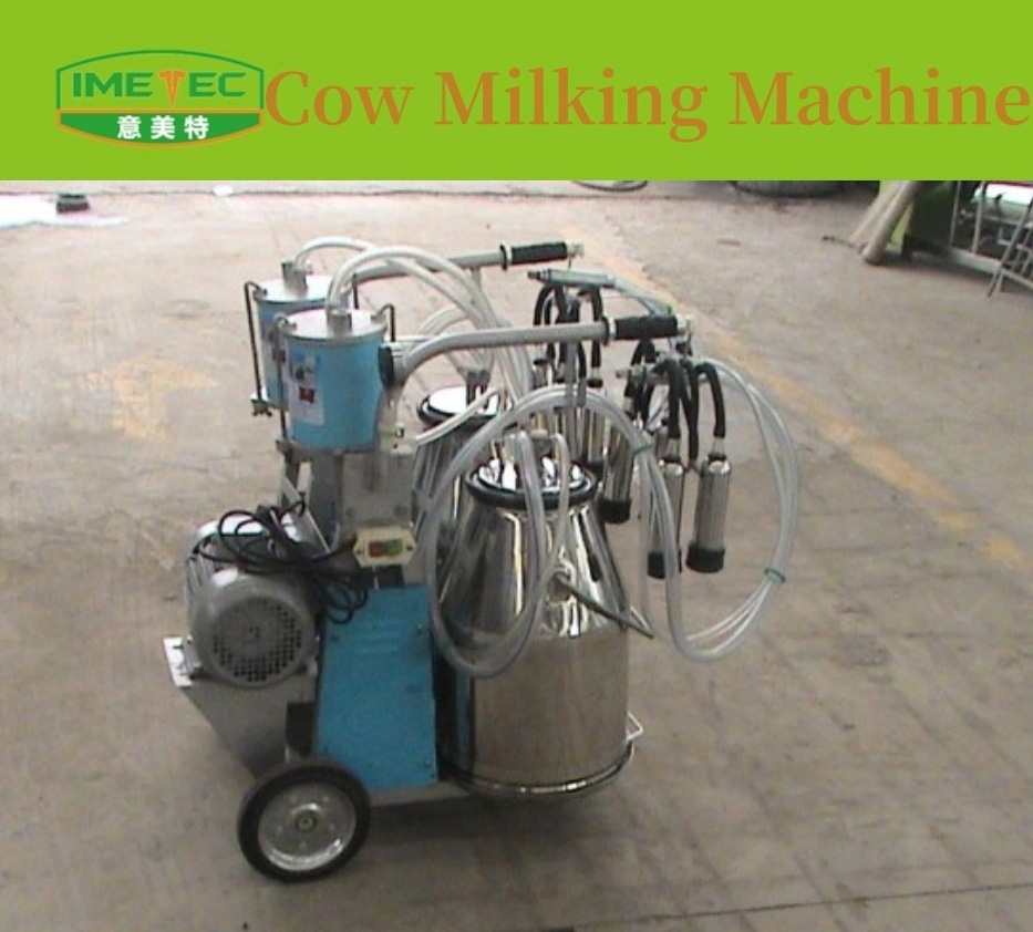 Double-bucket milking machine for cows