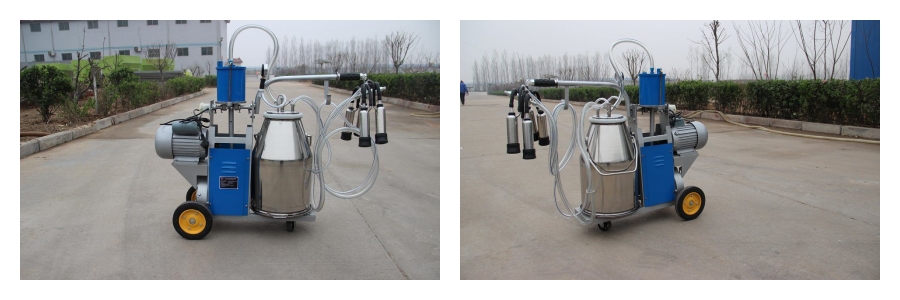 Одноковшовый доильный аппарат