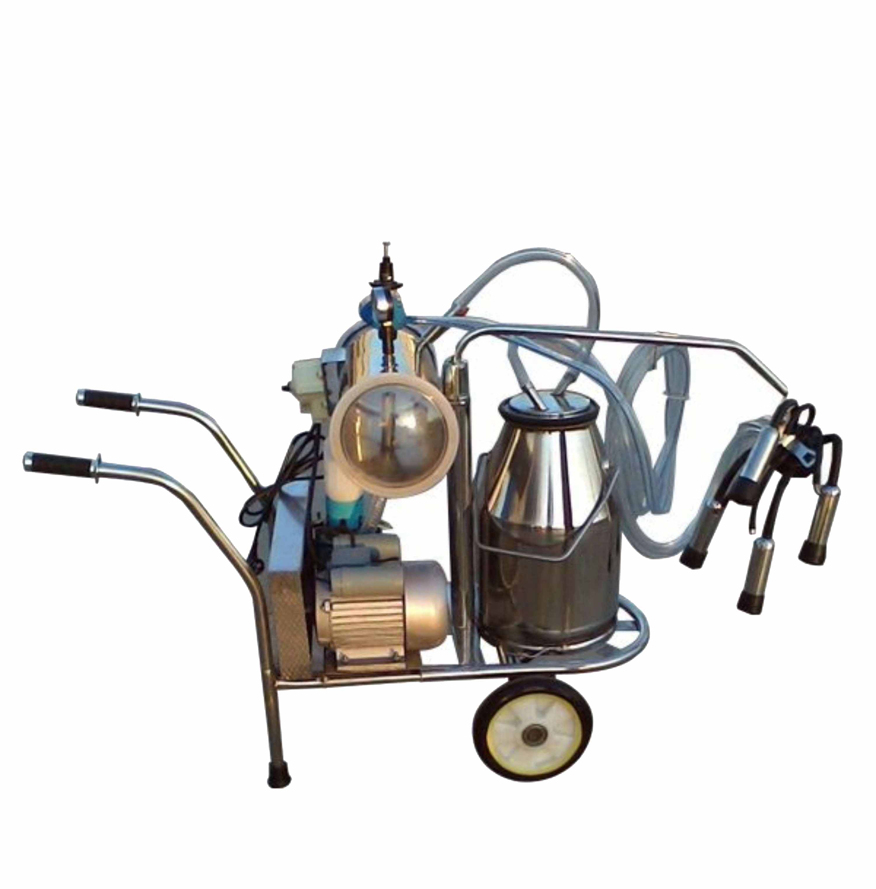 Double-bucket milking machine for cows