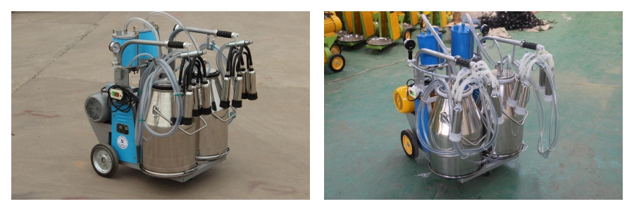 Double bucket milking machine for cows Double bucket milking machine for cows