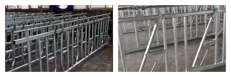 Замок для коров для коровьих ферм