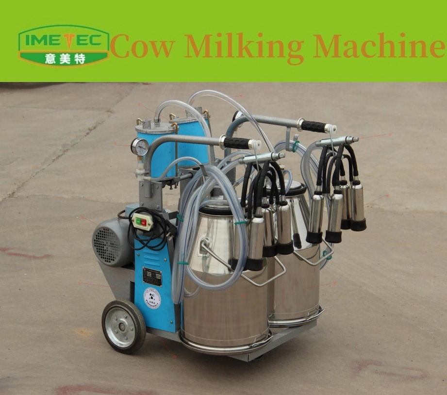 Double-bucket milking machine for cows