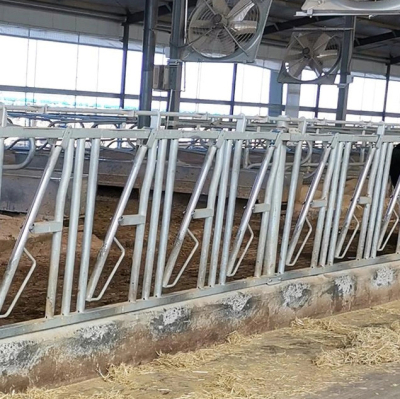 Замок для коров для коровьих ферм