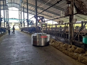 Робот - подталкиватель кормов